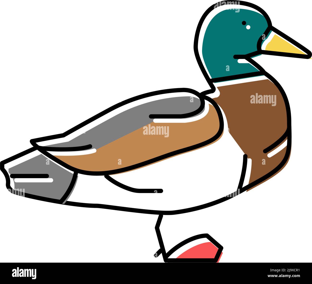 duck bird color icon vector illustration Stock Vector Image & Art - Alamy