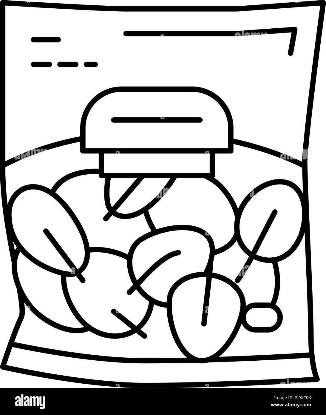 spinach package bag line icon vector illustration Stock Vector Image ...