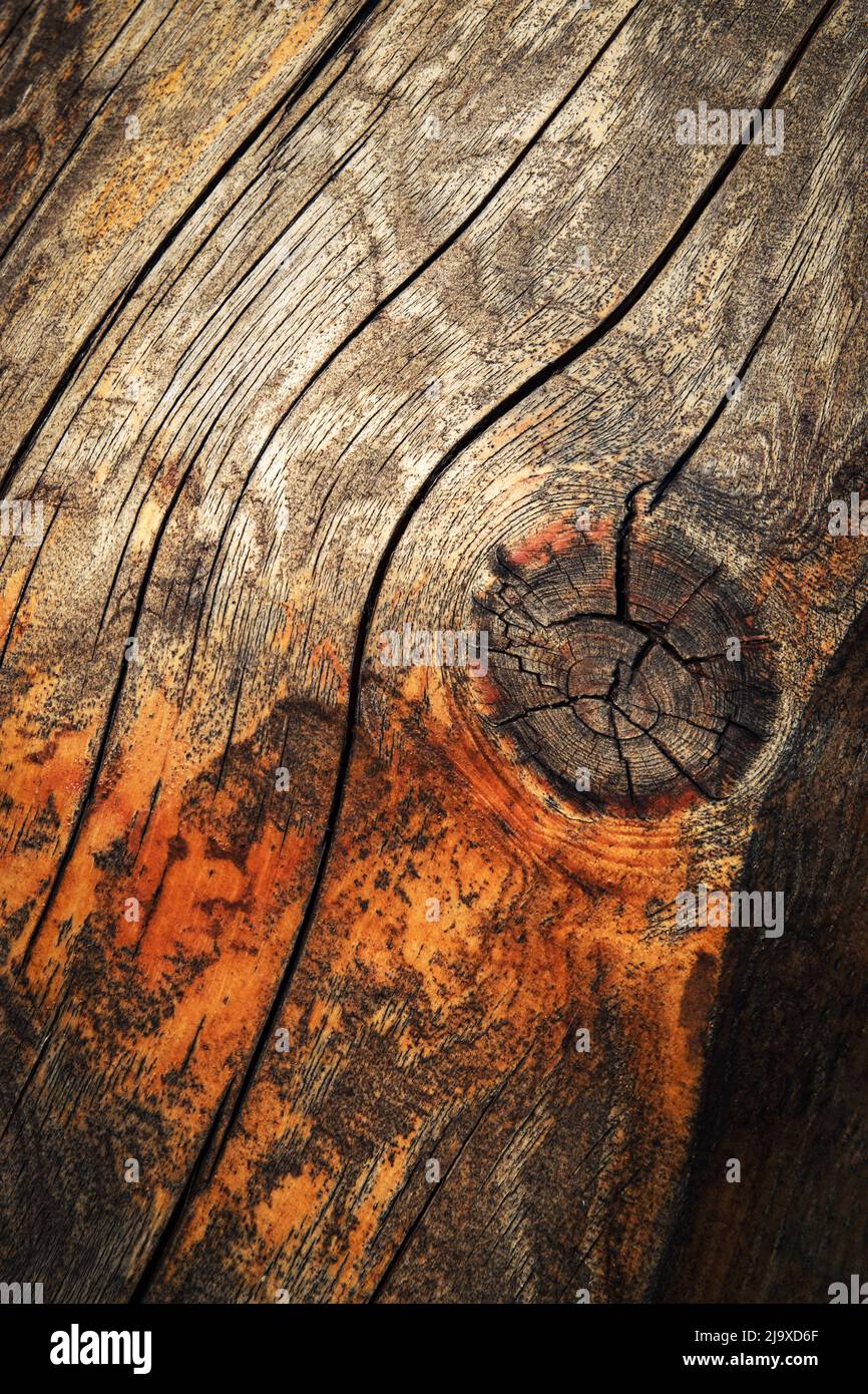 background or texture detail tan colored wood with a knot Stock Photo