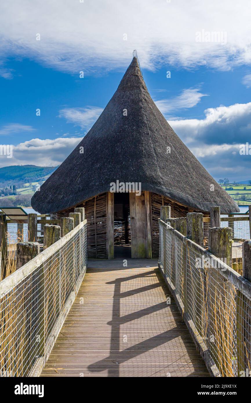 Replica of the ancient Celtic Crannog house on Llangorse Lake, Wales, UK Stock Photo