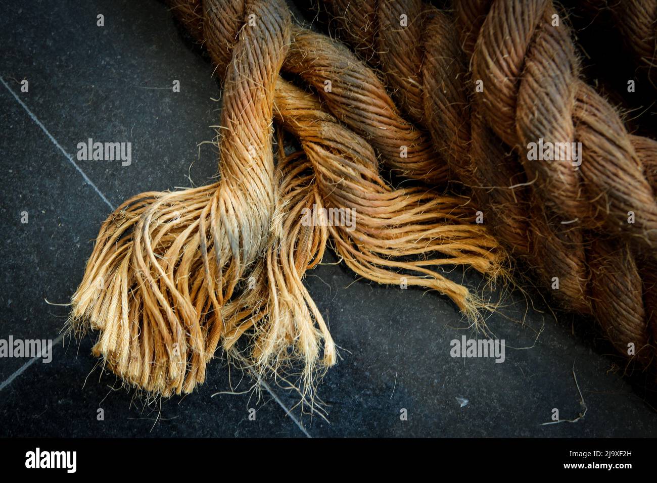 Detail of rope used at Círio de Nazaré, the largest Marian procession ...