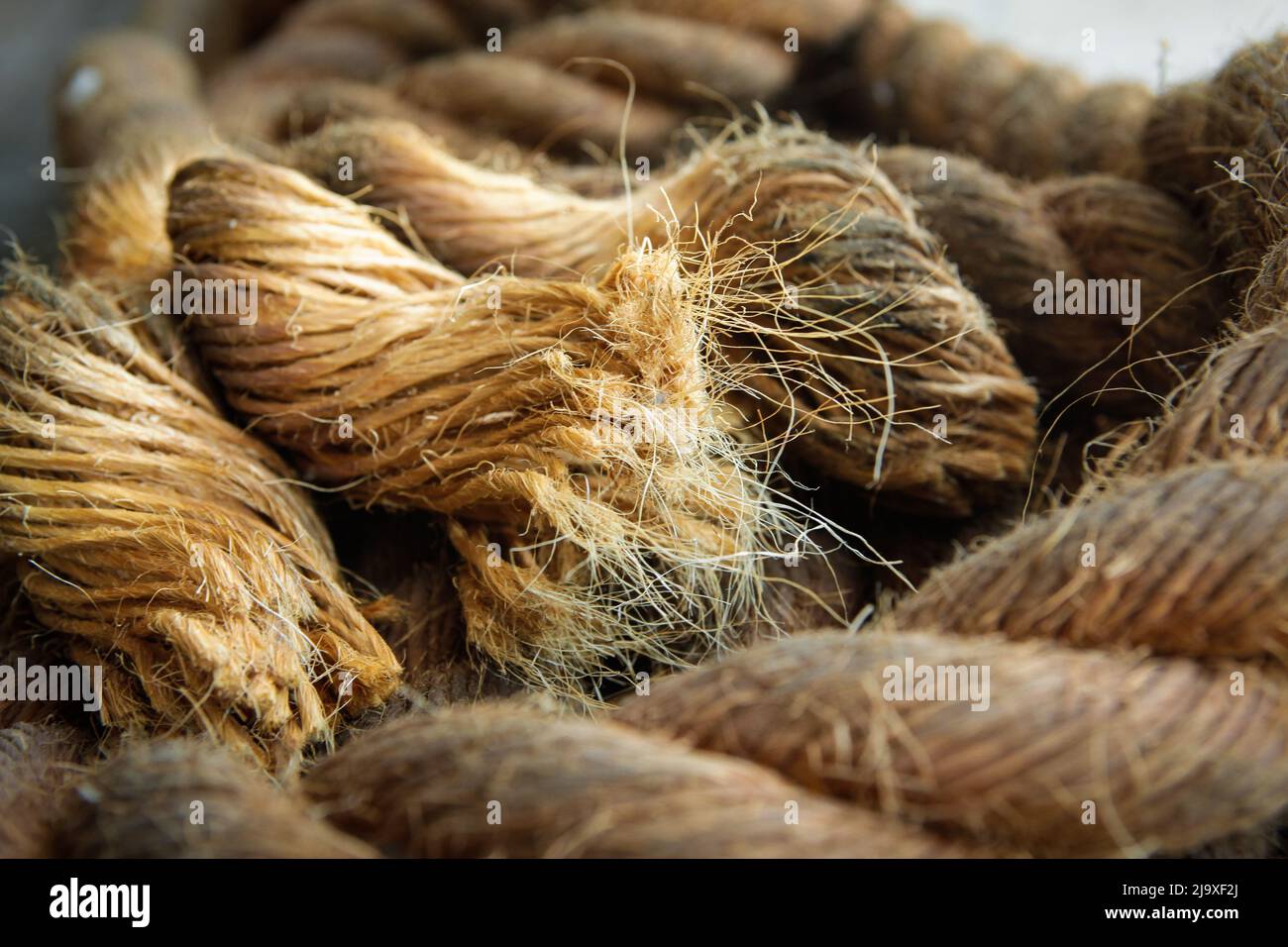 Detail of rope used at Círio de Nazaré, the largest Marian procession ...