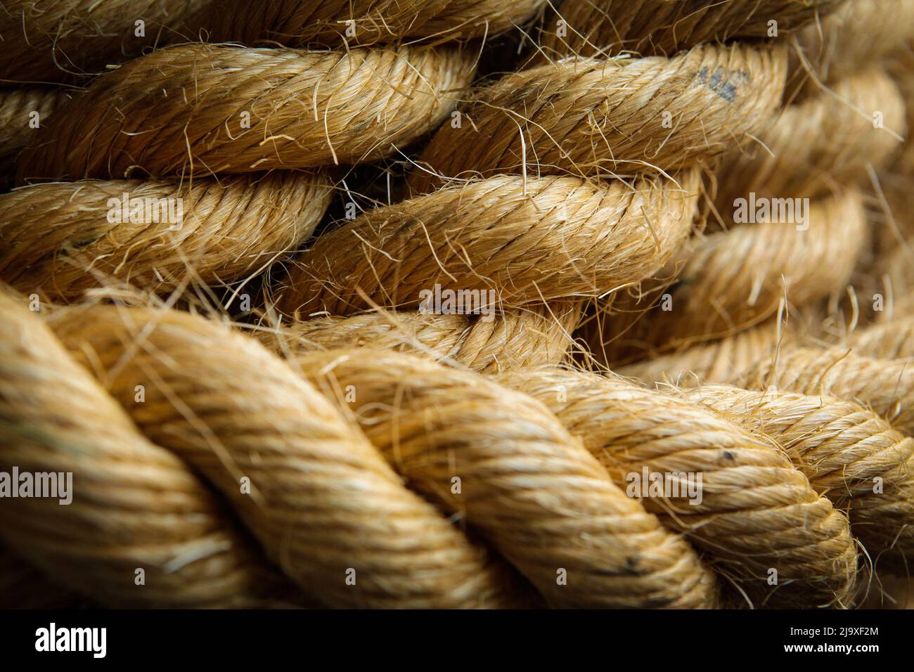 Corda hi-res stock photography and images - Page 2 - Alamy