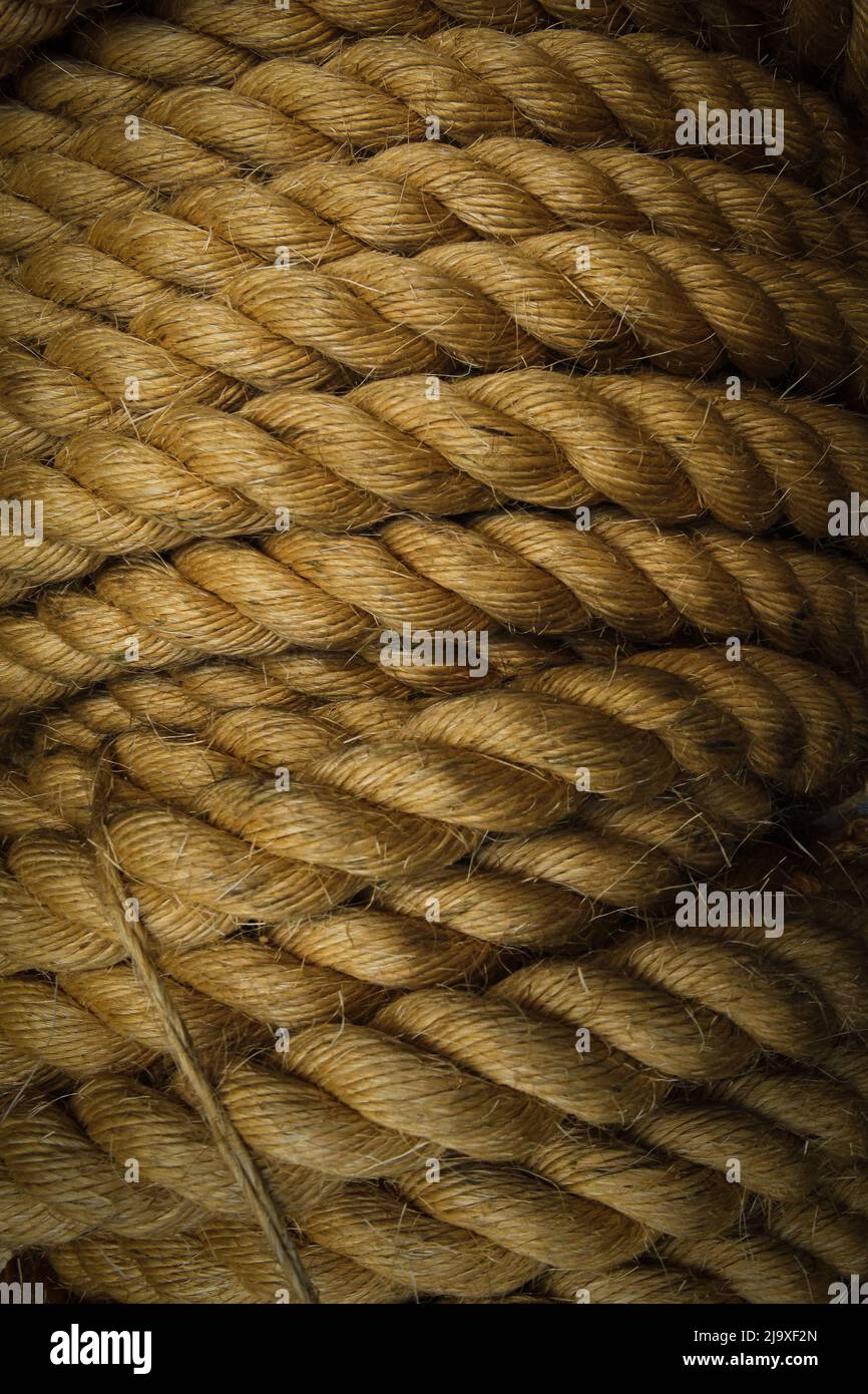 Narra Rope Detail of rope used at Círio de Nazaré, the largest Marian procession ...