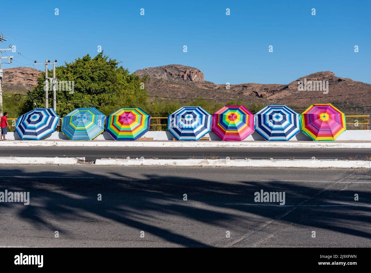 Long line of large colorful striped oversized umbrellas for sun protection displayed open on a sidewalk in the desert of San Carlos, Sonora, Mexico. Stock Photo