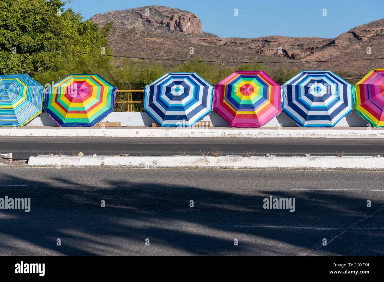 A long line of large colorful striped sun umbrellas for sale displayed open on a sidewalk, in the desert in San Carlos, Sonora, Mexico. Stock Photo