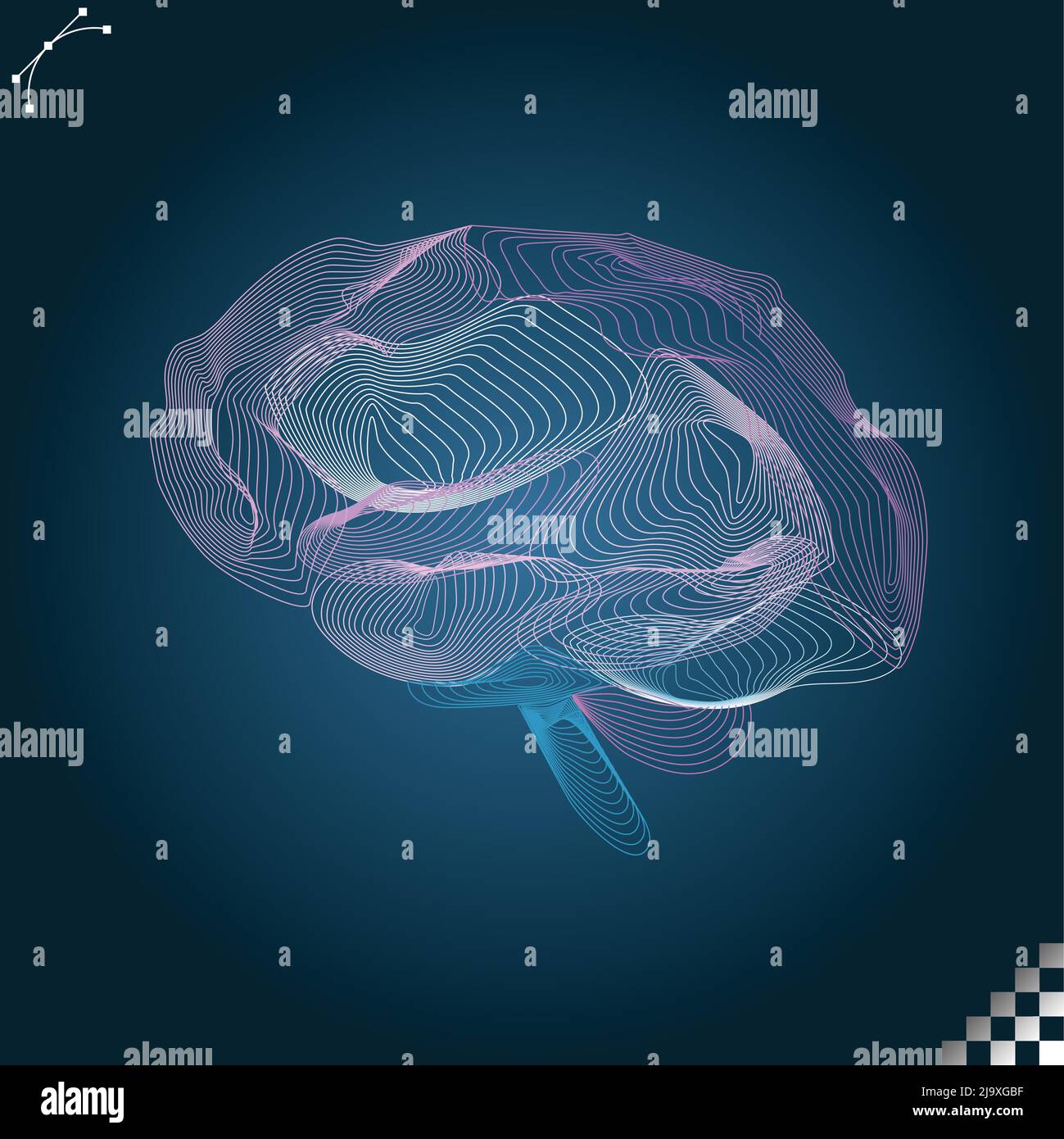 beautiful colorful human brain cerebellum organ side view line art on dark background. Similar to a 3D modeling rig, geometric mesh pattern Stock Vector