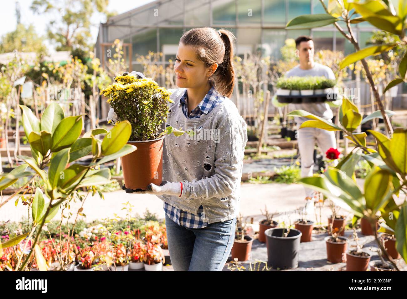 Florist girl working in greenhouse Stock Photo
