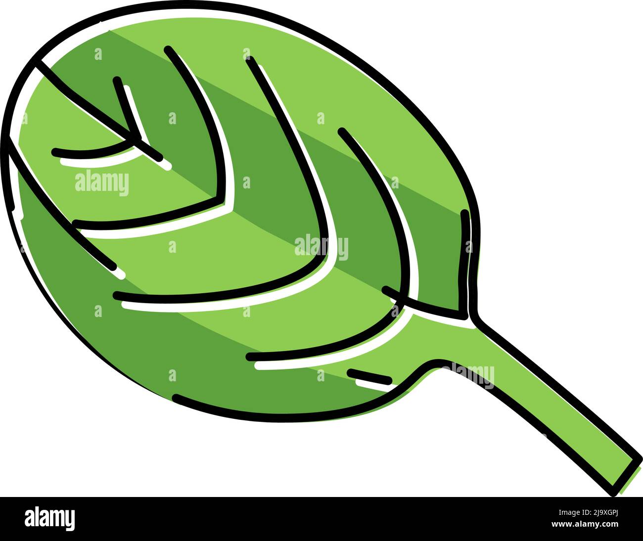 leaf spinach color icon vector illustration Stock Vector Image & Art ...