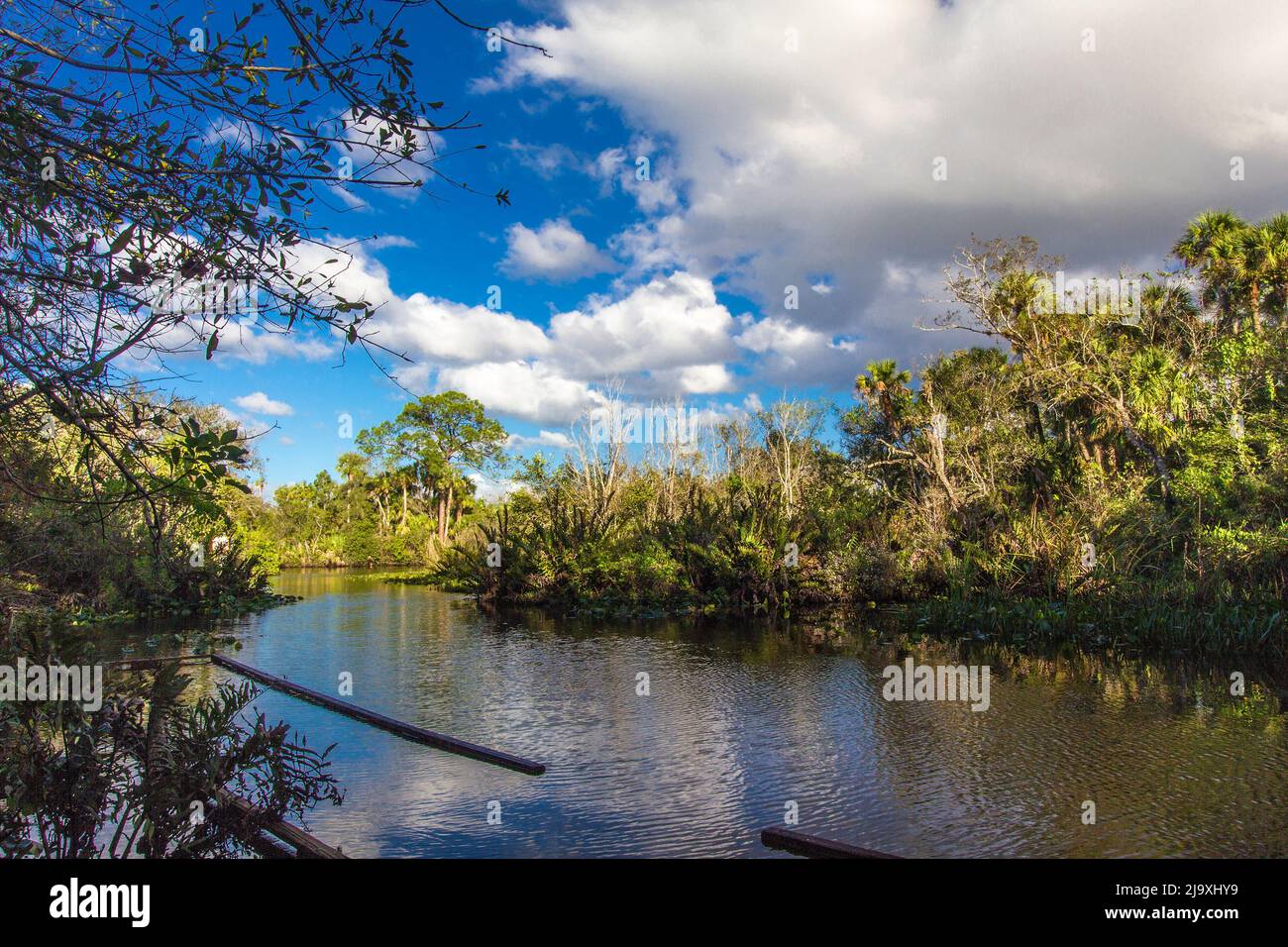 Oxbow eco-center, Fort Pierce, Florida Stock Photo - Alamy
