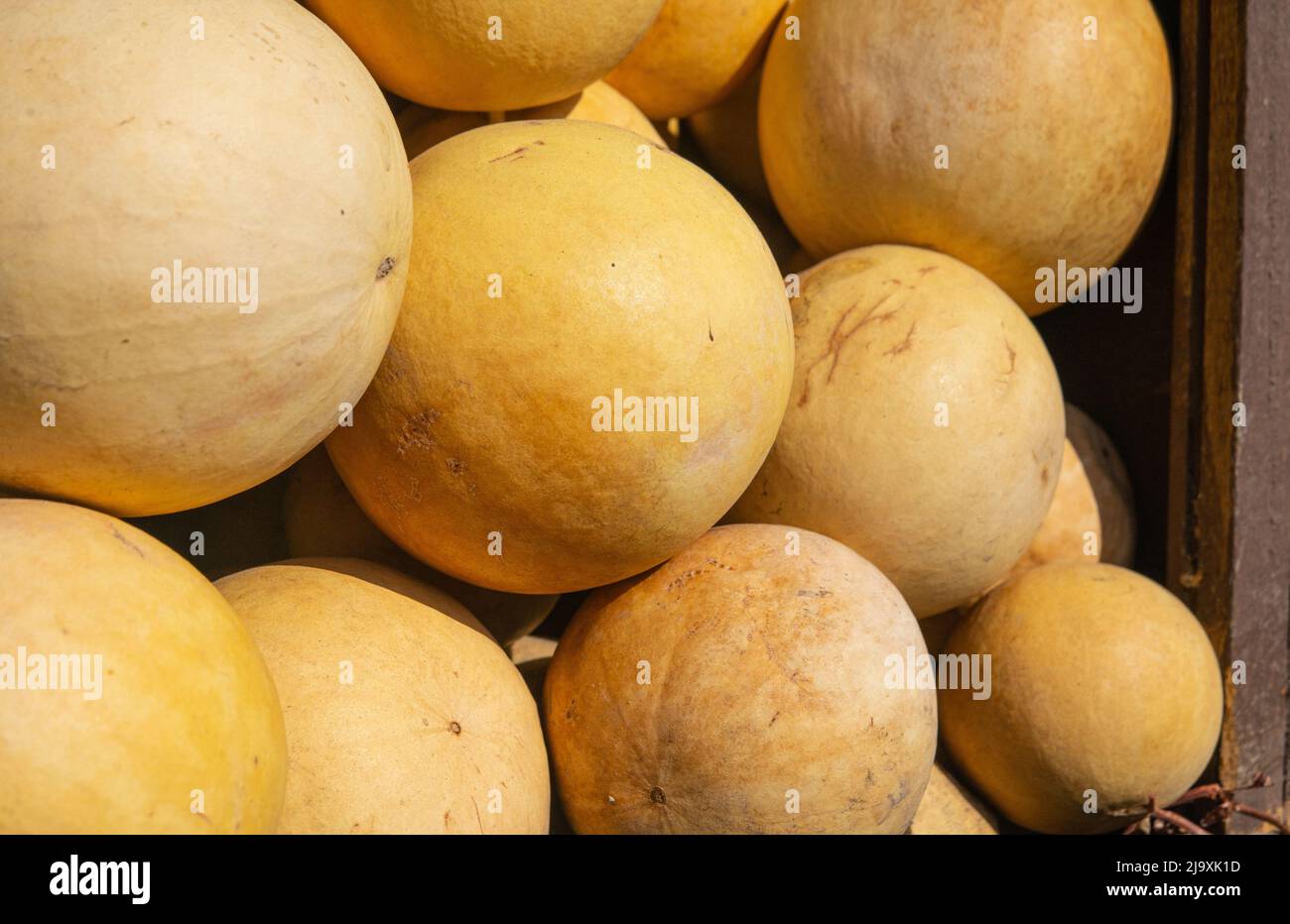 Dry Calabash as gifts for sale on the market of Egypt Stock Photo Alamy