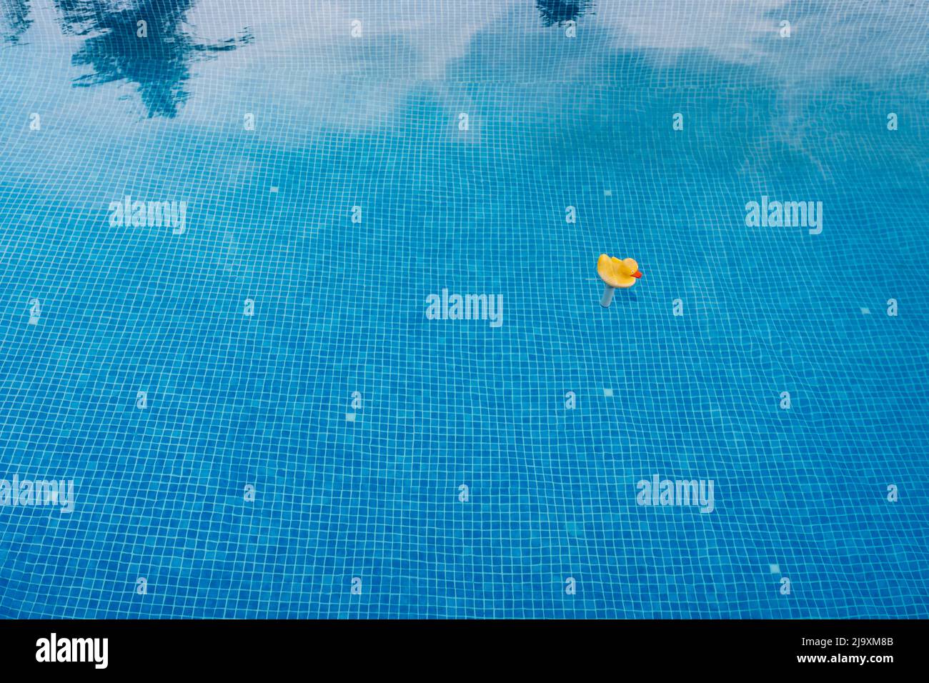 background calm water of blue summer swimming pool. yellow rubber duck toy in the water. text to be used. Stock Photo