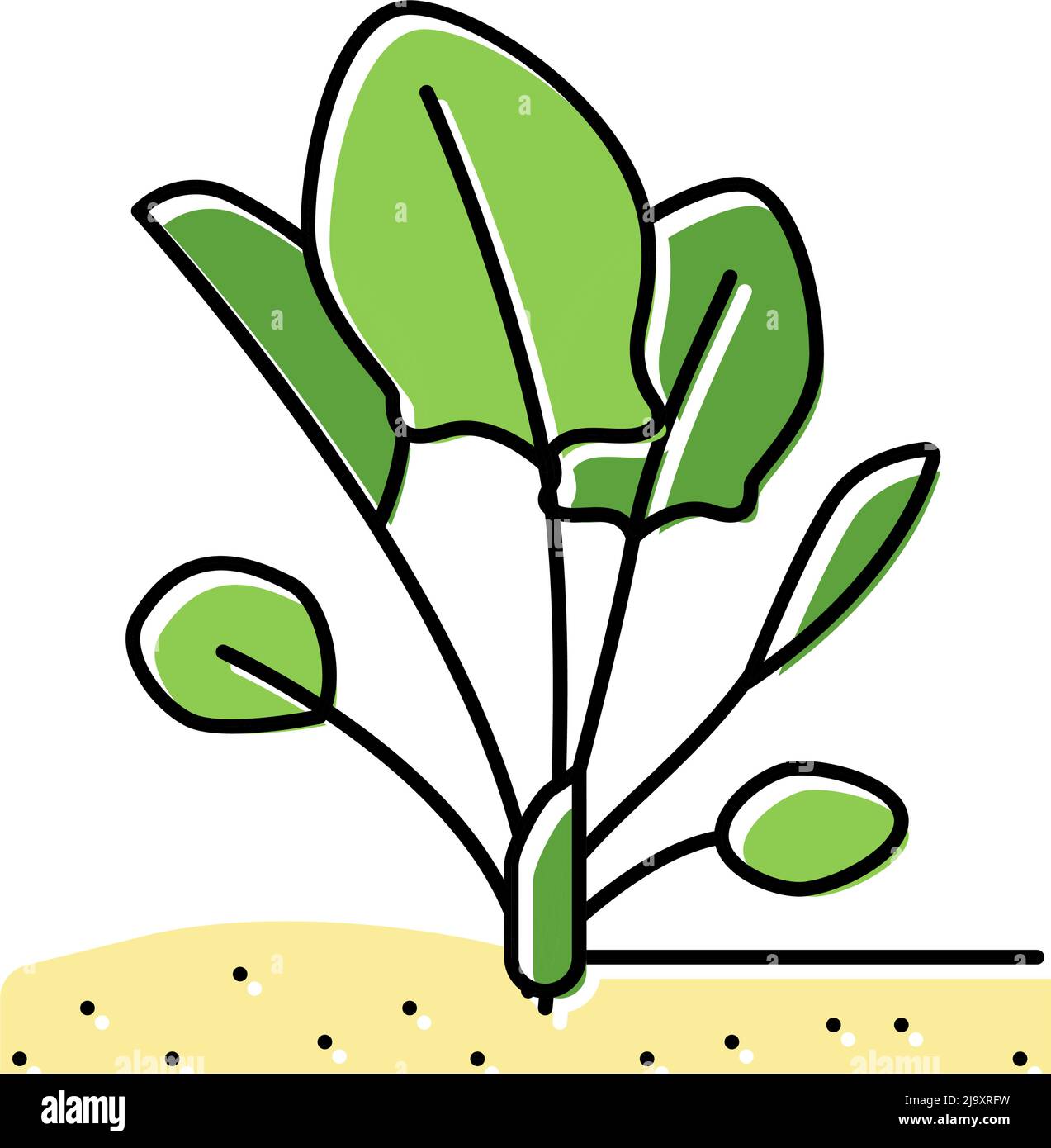 plant spinach growing color icon vector illustration Stock Vector Image ...