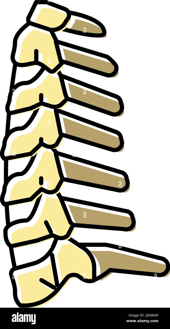 neck bone color icon vector illustration Stock Vector