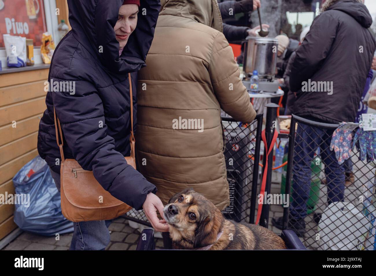 Medyka, Poland. 25th Feb, 2022. A Ukrainian woman caressing a dog after crossing polish border on the second day of Russian invasion of Ukraine. Ukraine - Polish border was crossed by millions of Ukrainian people. Polish people took most of them into their homes. Russia invaded Ukraine on 24 February 2022, triggering the largest military attack in Europe since World War II. (Credit Image: © Amadeusz Swierk/SOPA Images via ZUMA Press Wire) Stock Photo