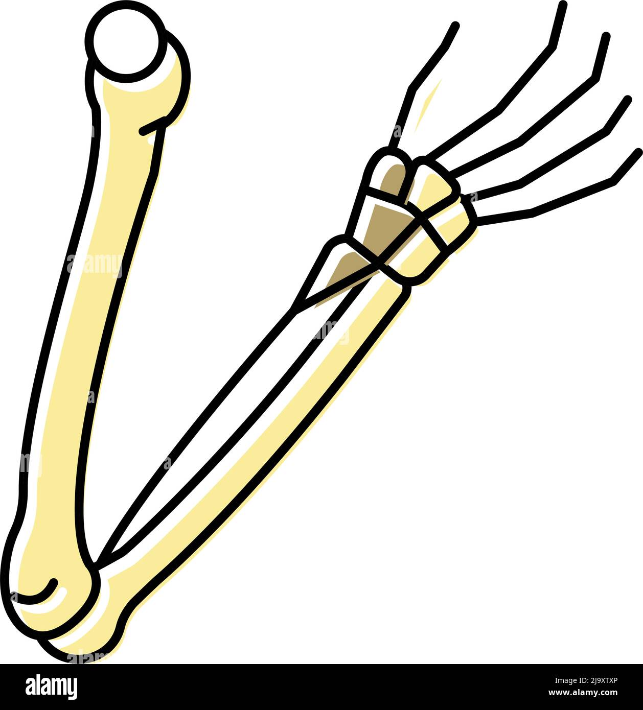 arms bone color icon vector illustration Stock Vector