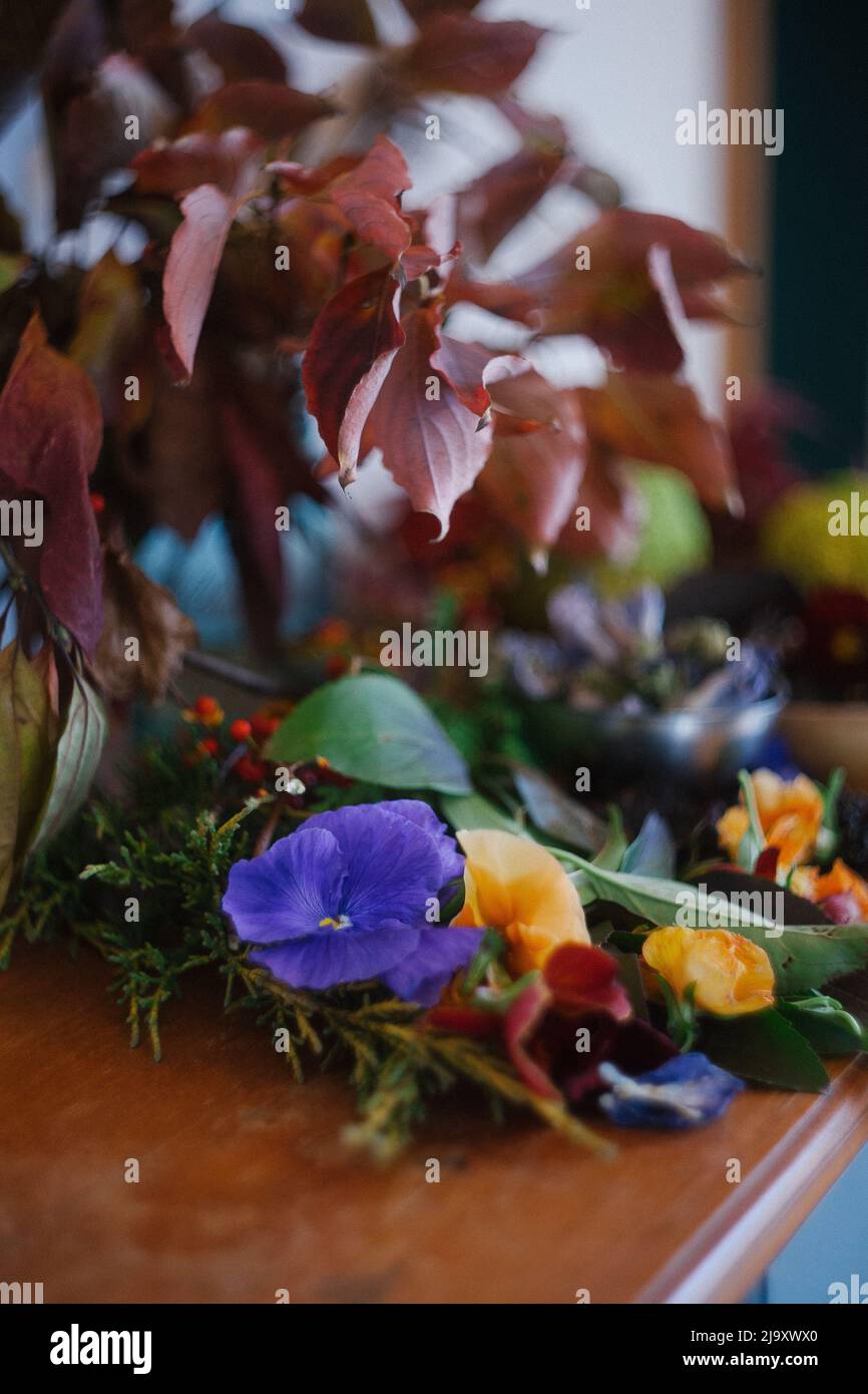 Nature still life hi-res stock photography and images - Alamy