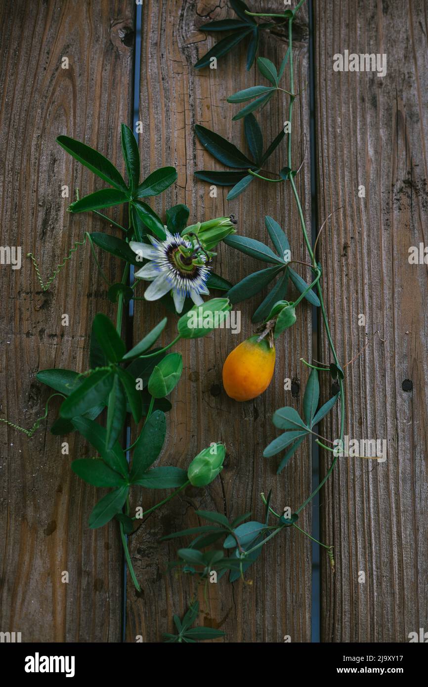 Passion Flower Fruit Flat Lay on a Wooden Background Stock Photo