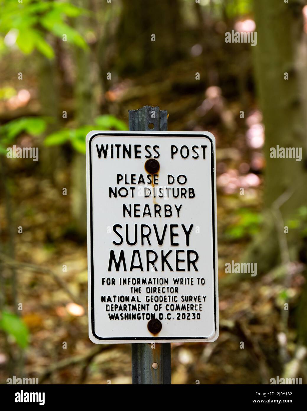 A witness post for a nearby US Coast and Geodetic Survey Marker located in the Adirondack Mountains wilderness Stock Photo