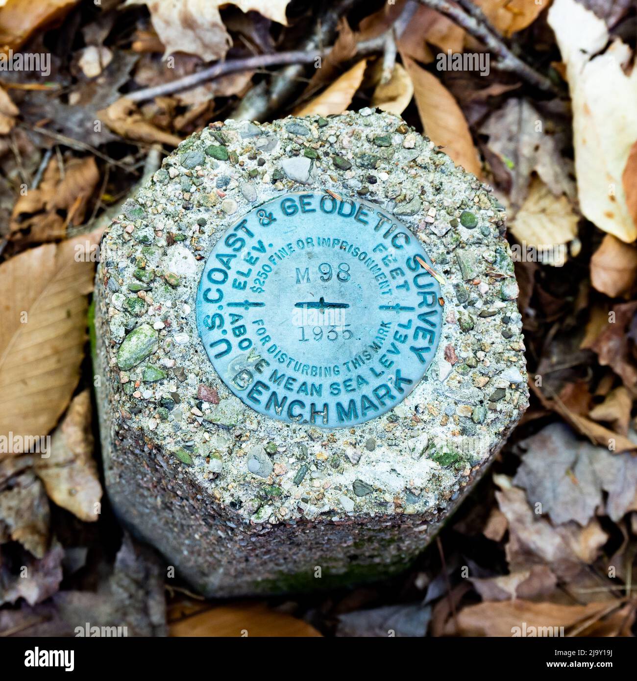 A US Coast and Geodetic Survey Marker Benchmark indicating elevation above mean sea level located in the Adirondack Mountains, New York wilderness Stock Photo