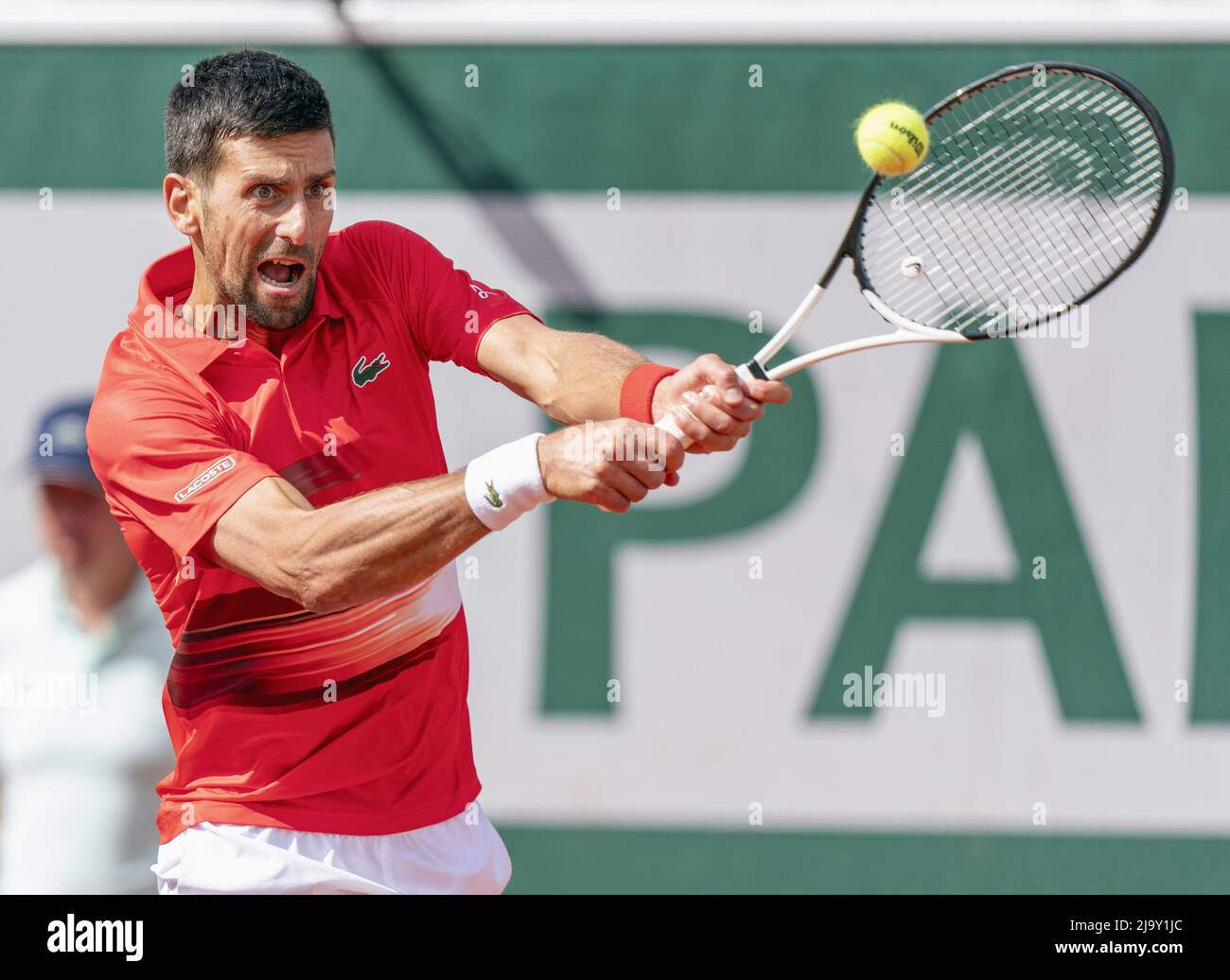 Serbia's Novak Djokovic plays against Slovakia's Alex Molcan in the second  round of the French Open