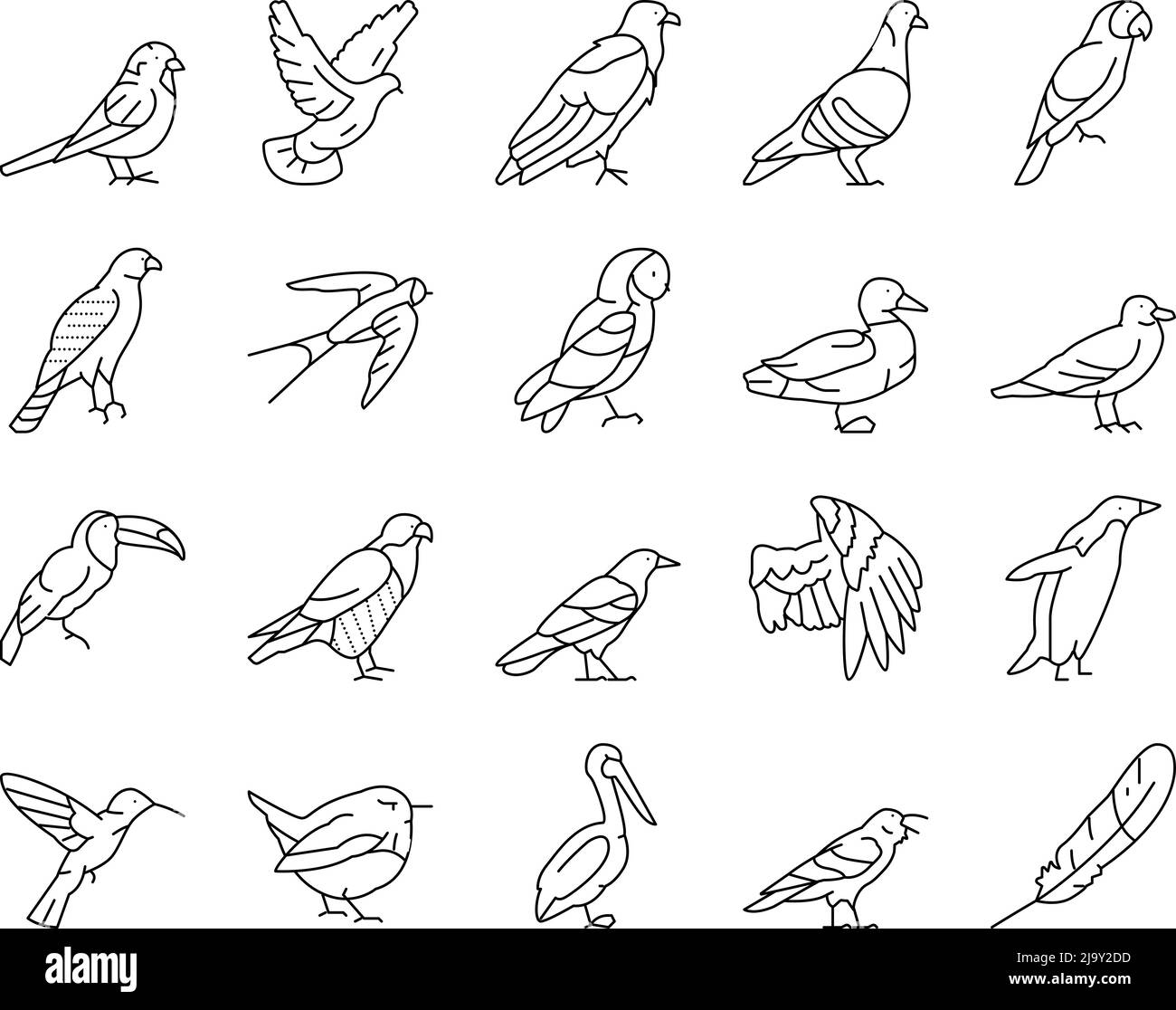 Bird Flying Animal With Feather Icons Set Vector Stock Vector Image ...