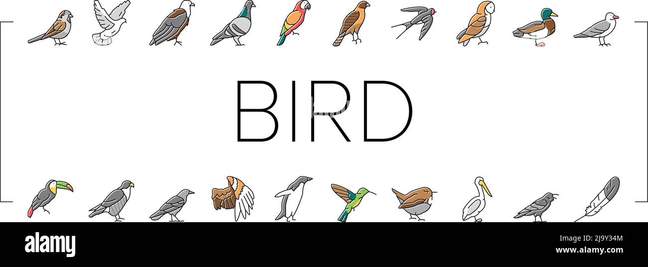 Bird Flying Animal With Feather Icons Set Vector Stock Vector Image ...