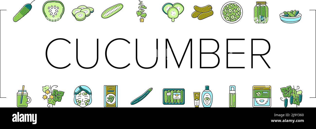 Cucumber Natural Bio Vegetable Icons Set Vector Stock Vector Image ...