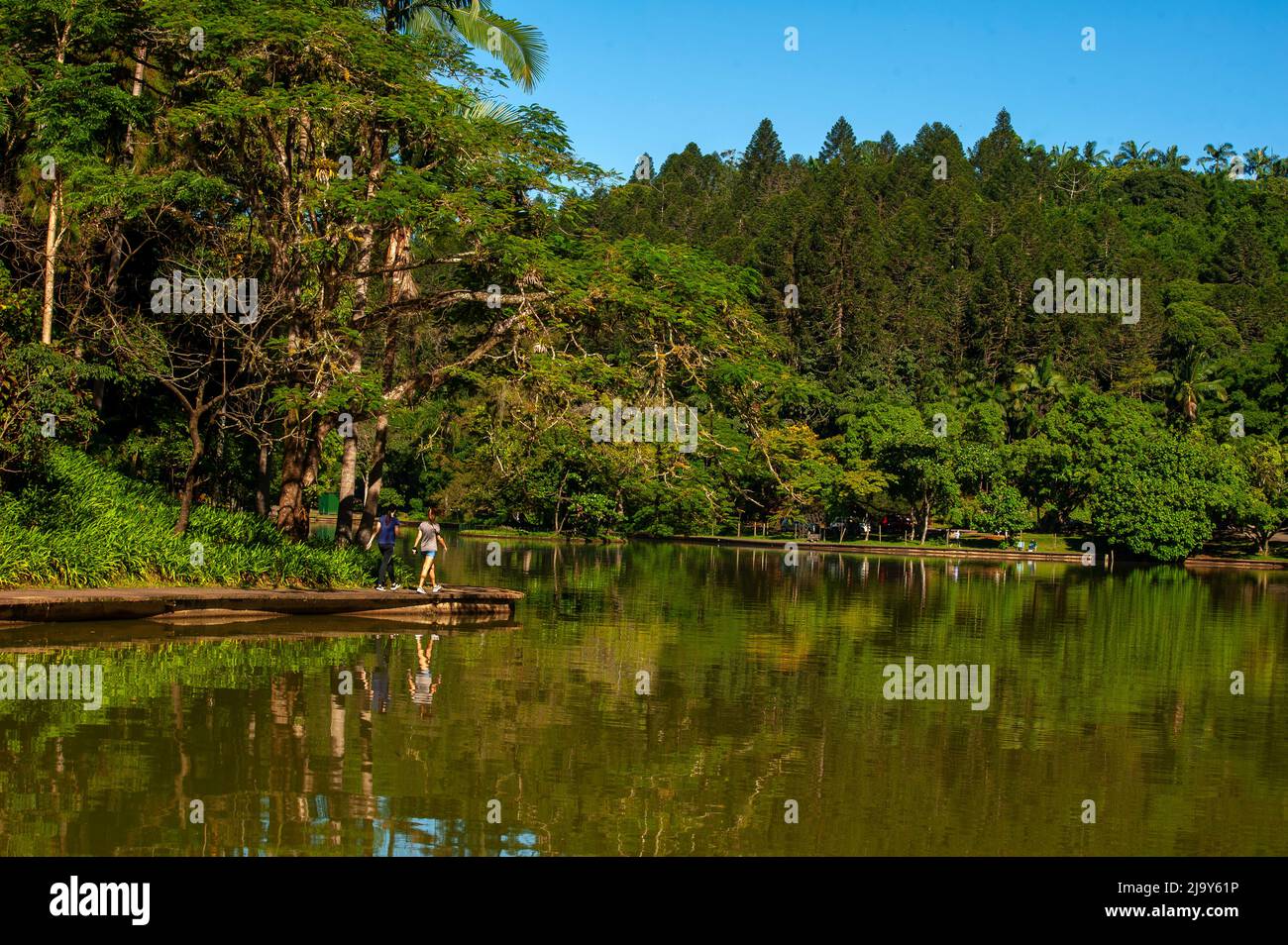 Tourists enjoying a walk at Malwee Park, Jaraguá do Sul, Santa Catarina