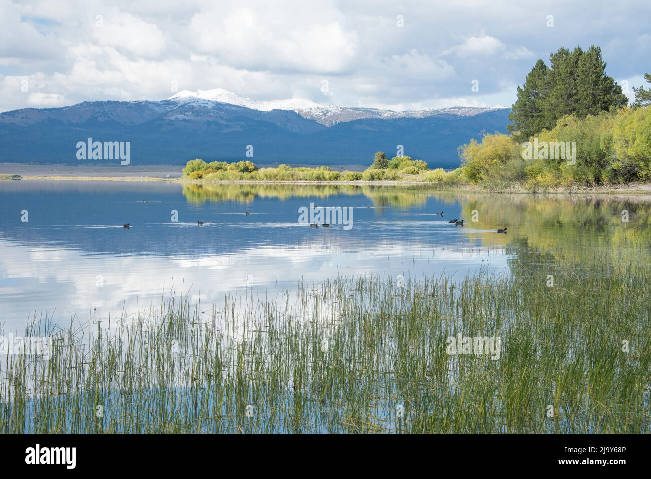 Puffy clouds and blue sky reflect in the still waters of Island Park