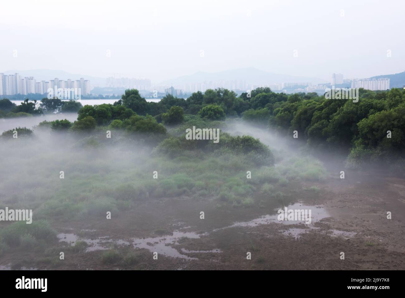 Photo inspiration: Fresh Look at The Peaceful Lake And Enjoy The Transquit Atmosphere On A