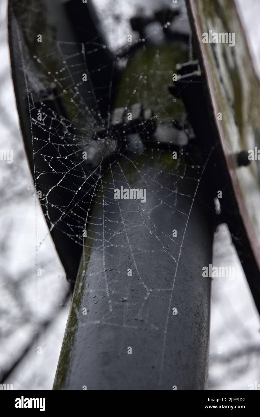 cobwebs on roadsign, england Stock Photo