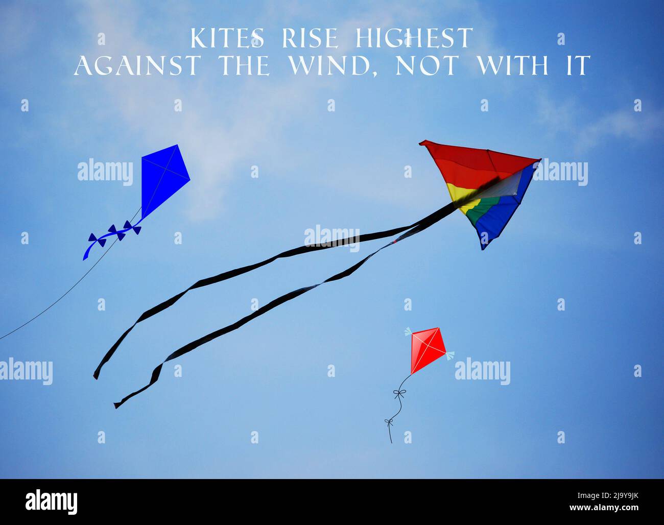 Kites rise highest against the wind, not with it. Motivational and