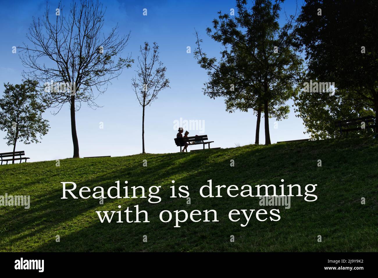 reading is dreaming with open eyes quote