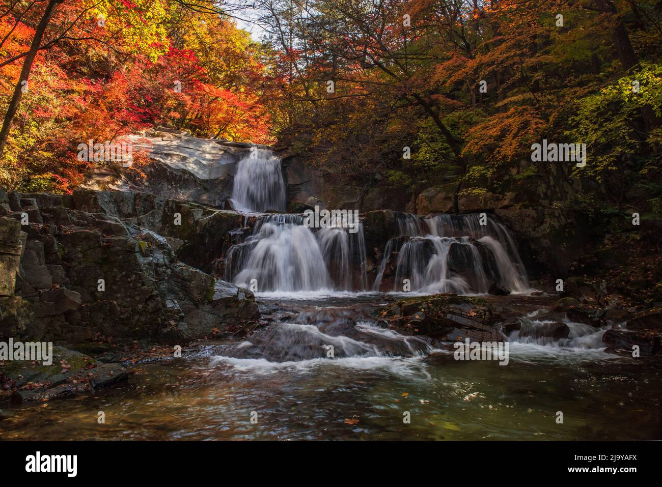 Deeply Fall The fantastic,colorful and wonderful autumnal fall and stream in the ...