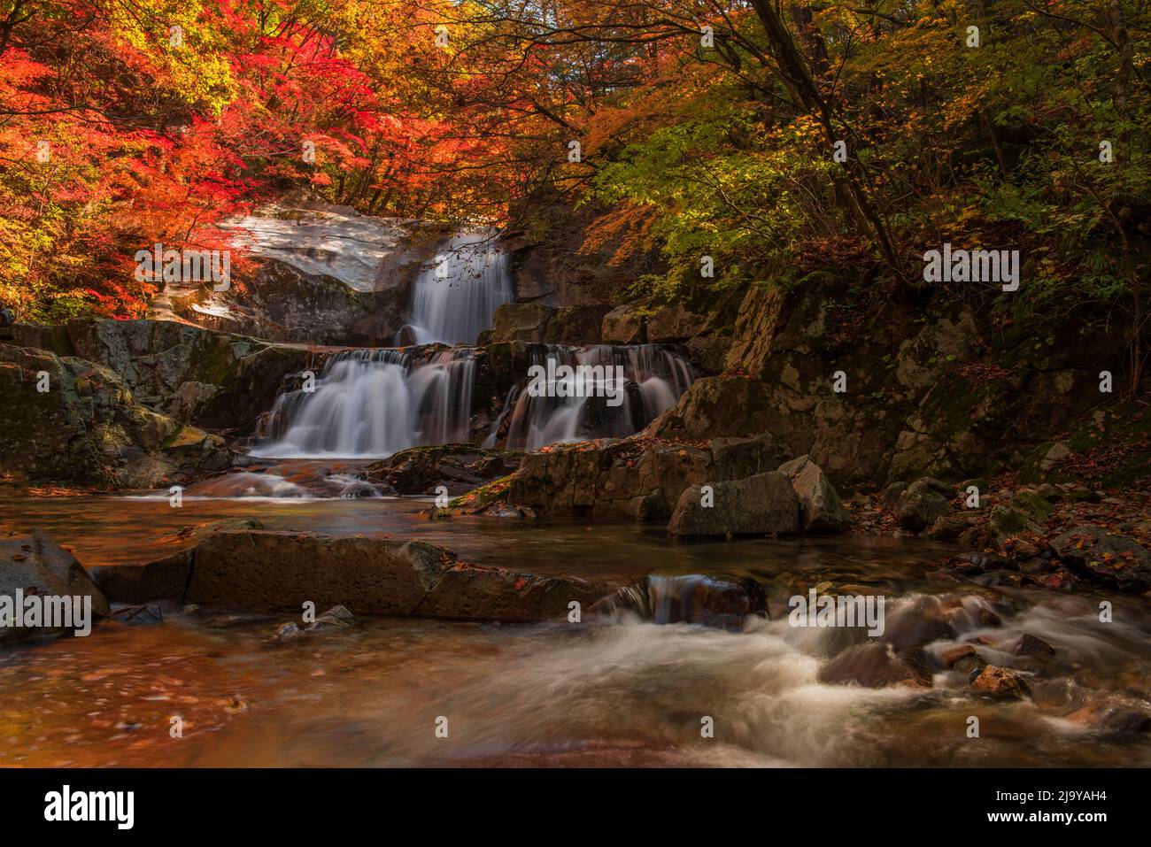 Deeply Fall The fantastic,colorful and wonderful autumnal fall and stream in the ...