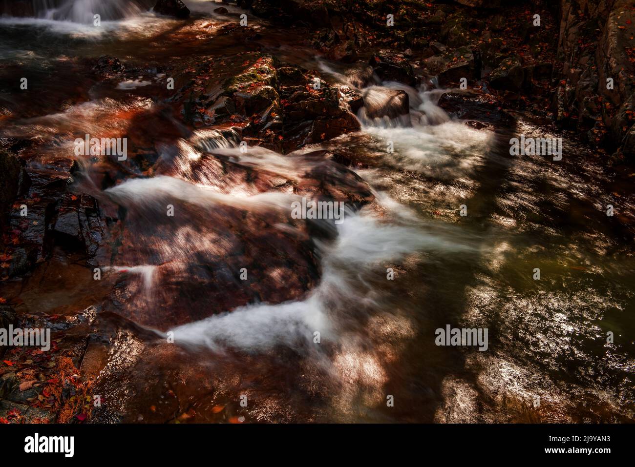 Deeply Fall The fantastic,colorful and wonderful autumnal fall and stream in the ...