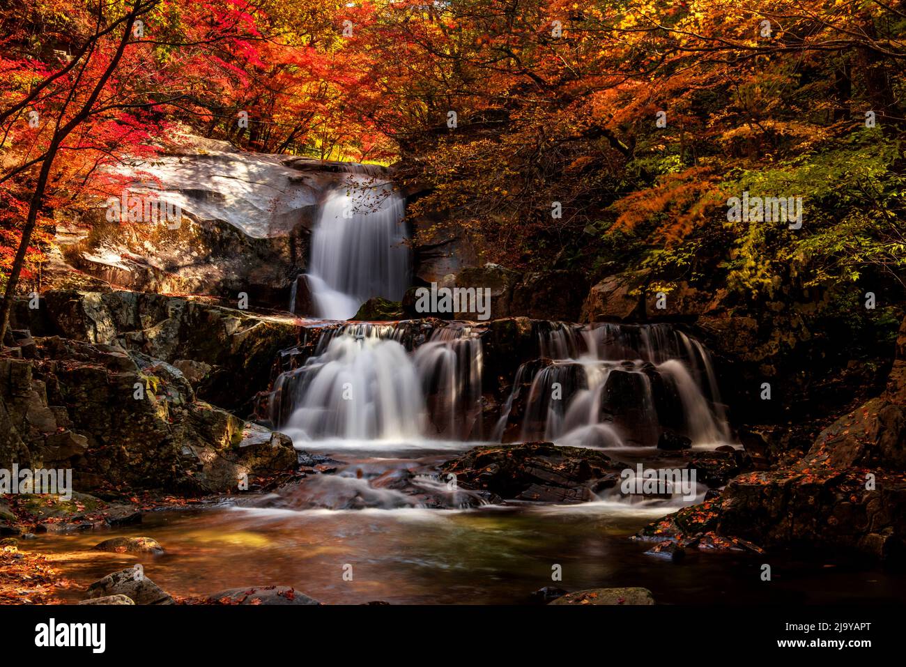 Deeply Fall The fantastic,colorful and wonderful autumnal fall and stream in the ...