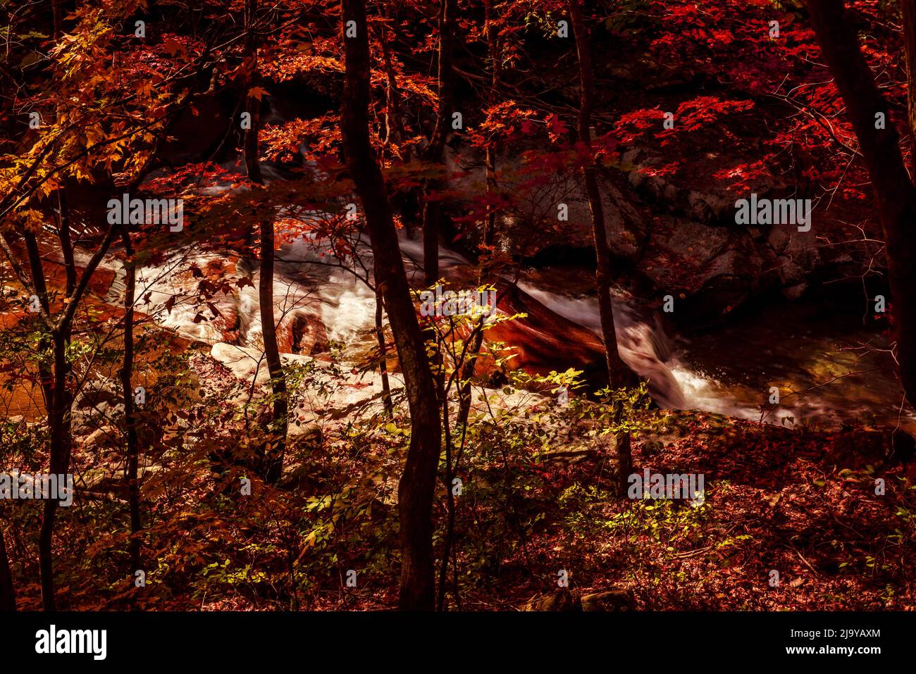 Deeply Fall The fantastic,colorful and wonderful autumnal fall and stream in the ...