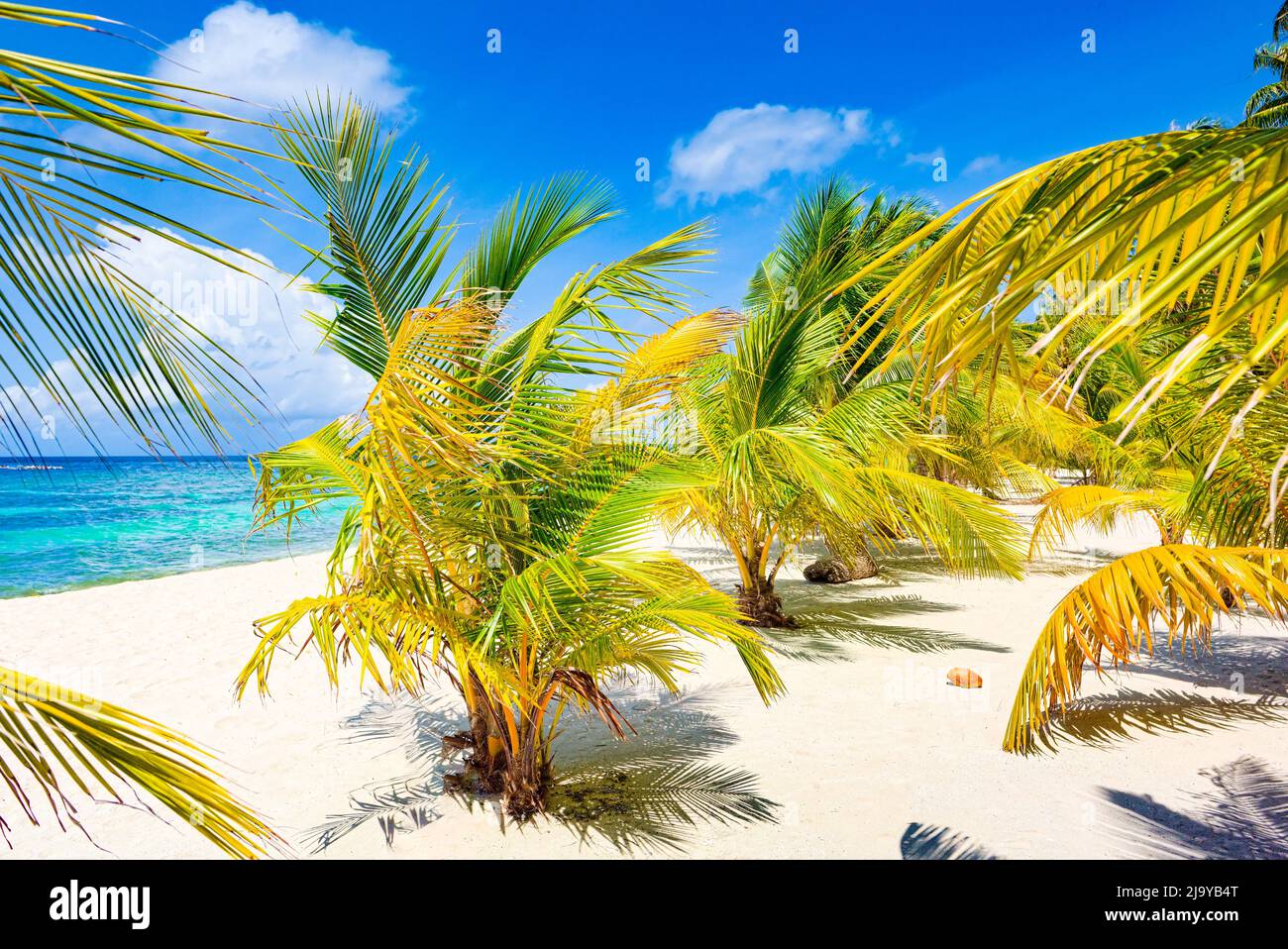 Shoreline of a tropical island in the Maldives and view of the Indian Ocean. Omadhoo (Alif Dhaal Atoll). Stock Photo