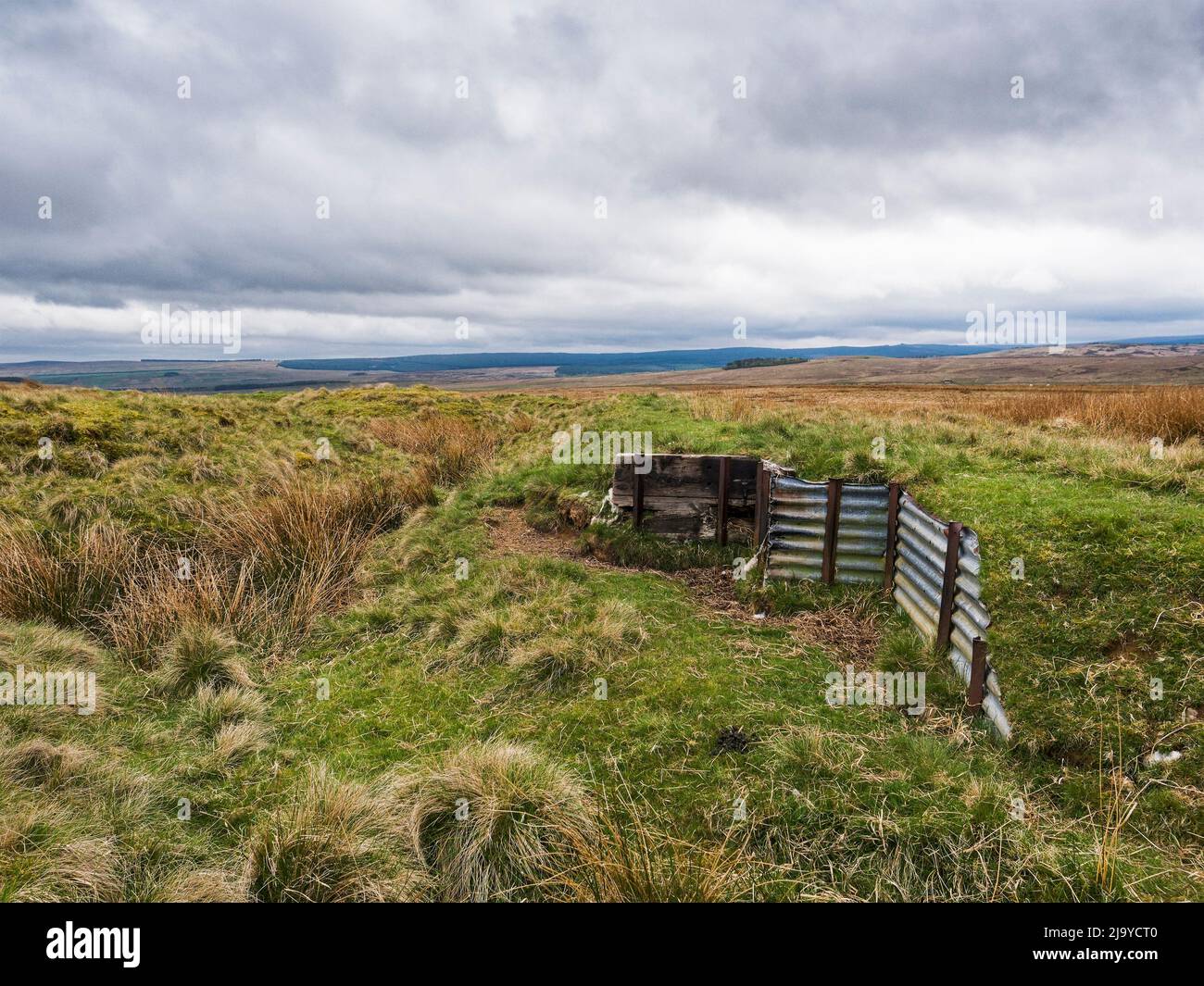 Remains of WW1 training trenches at Silloans, Northumberland, UK Stock ...