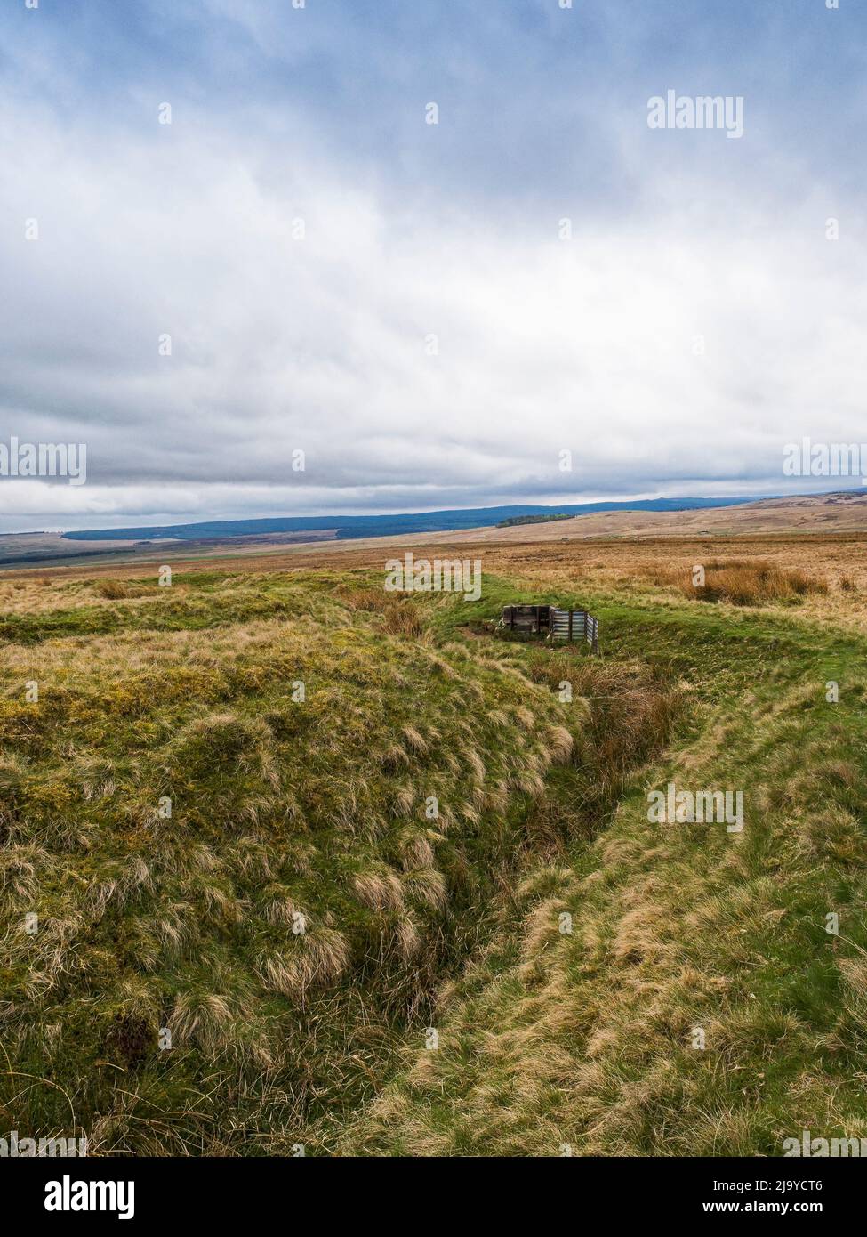 Remains of WW1 training trenches at Silloans, Northumberland, UK Stock Photo