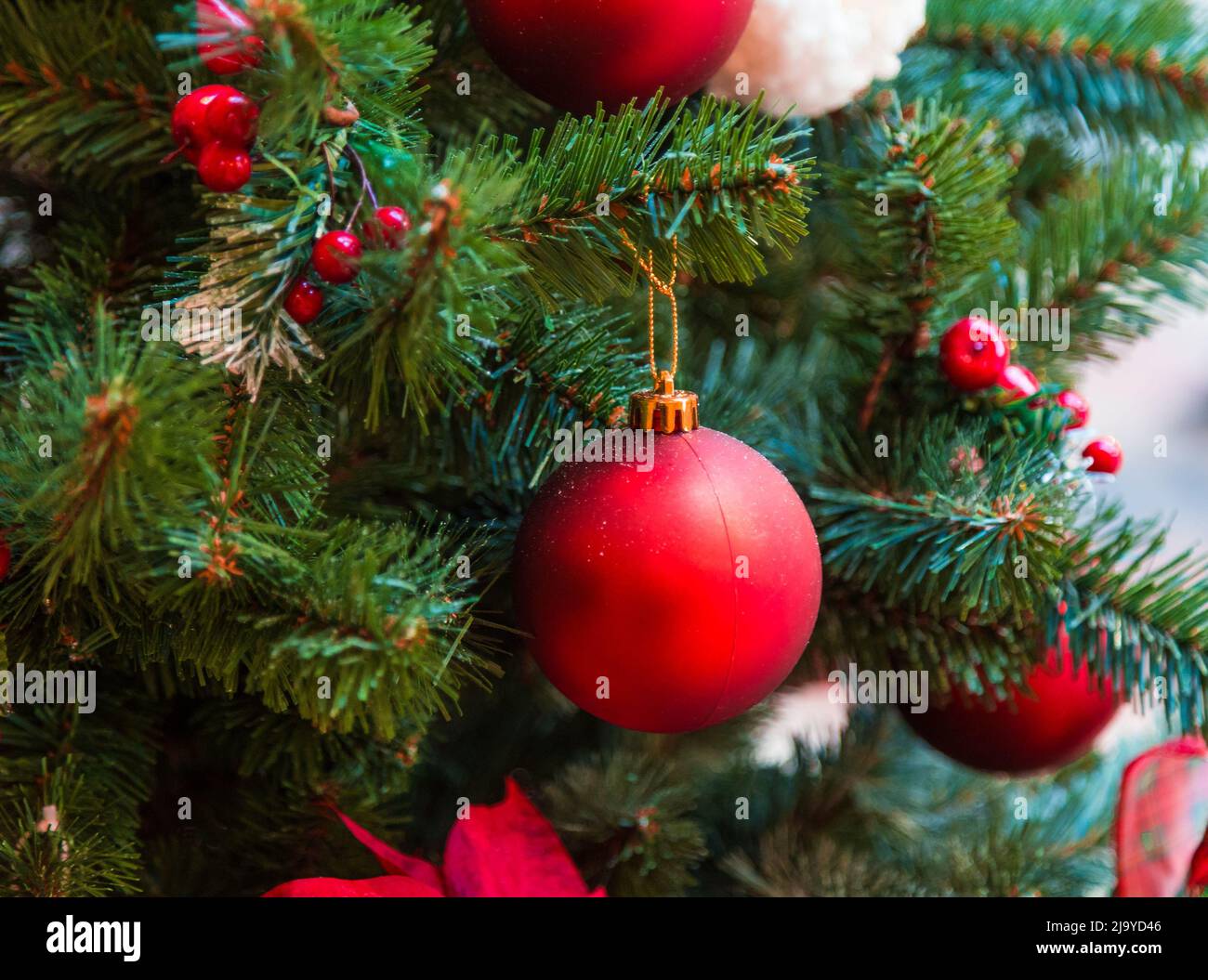 Christmas decorations on the branches of fir tree Stock Photo - Alamy