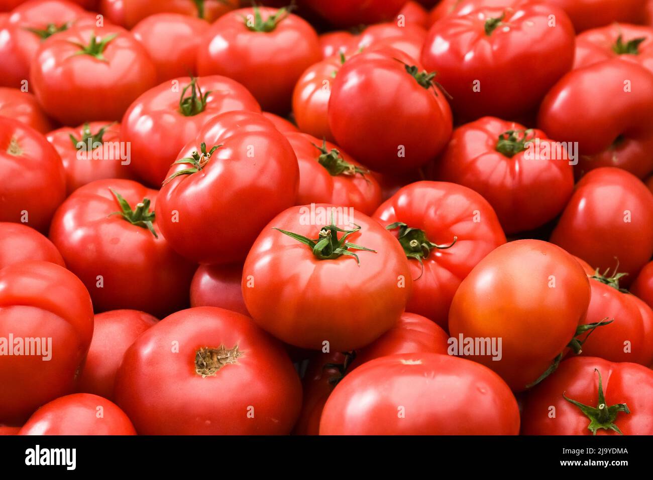 Tomatoes stacked on top of each other in a supermarket for sale, tomato texture Stock Photo Alamy