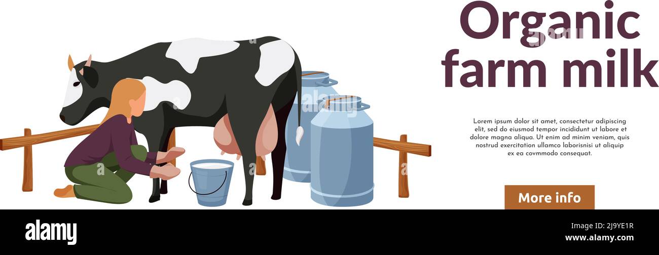 Organic farm flat background with images of woman milking cow editable text and more info button vector illustration Stock Vector