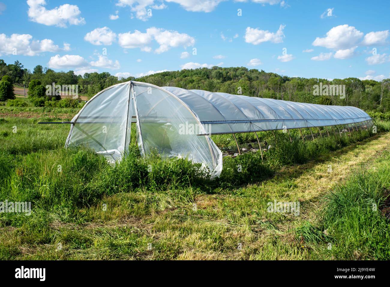 Idyllic organic garden greenhouse in grass field with blue sky Stock Photo