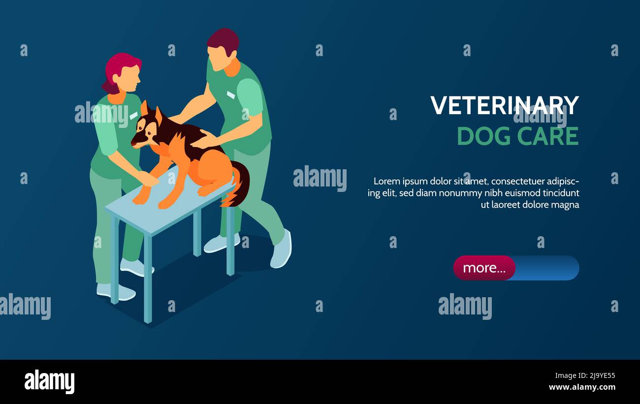 Dog Veterinary Banner Stock Vector