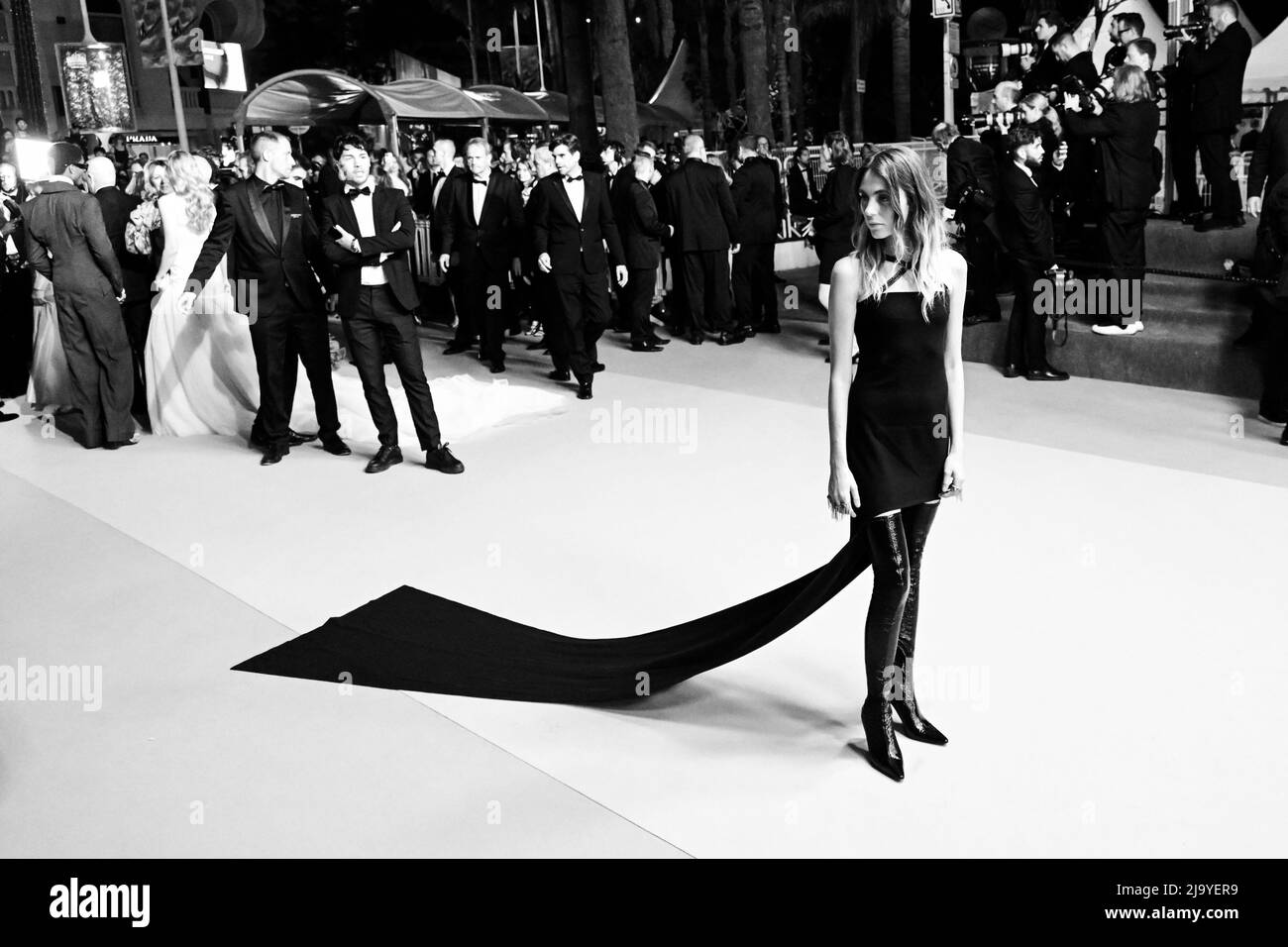 ? 75th Cannes Film Festival Red Carpet of the movie Stars at Noon