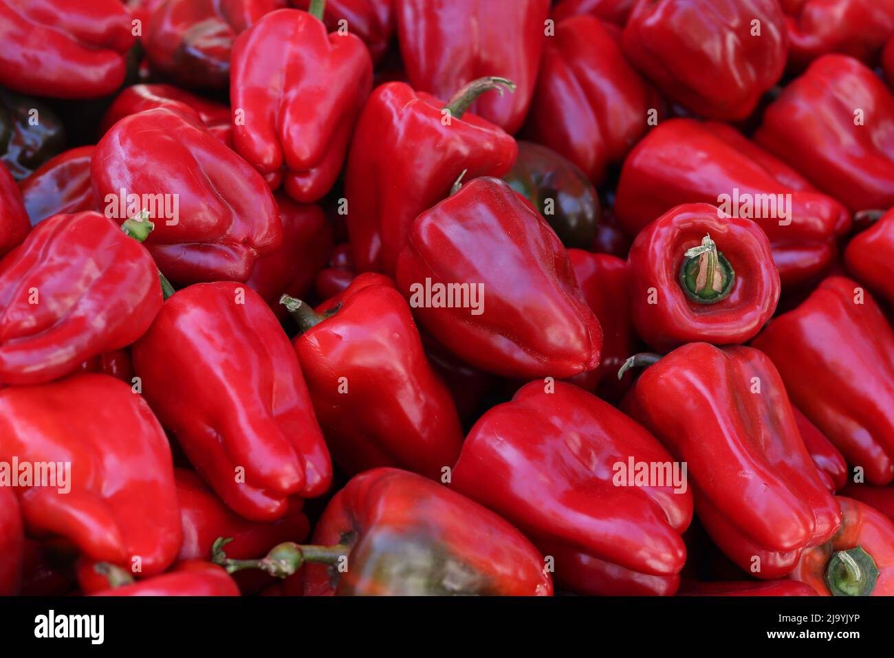 New crop of juicy red sweet peppers on market closeup Stock Photo - Alamy