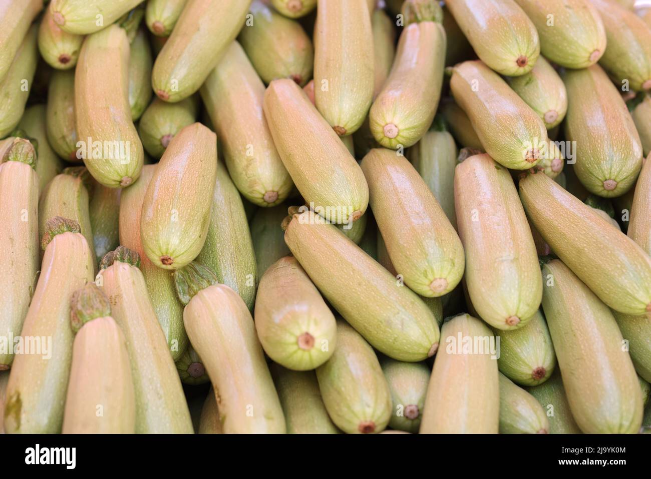 Lots of zucchini on the counter of street food market Stock Photo Alamy